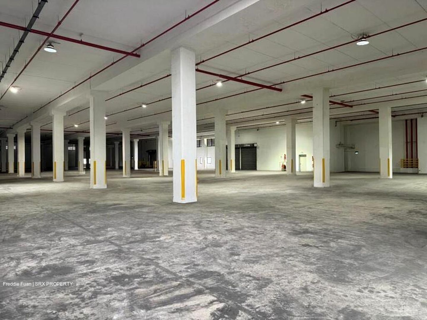 Freight Links (changi) Building (D16), Warehouse #581152481